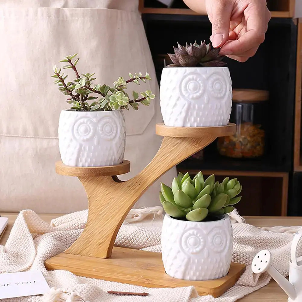 White owl-shaped ceramic succulent pots on a bamboo tiered shelf with various green succulent plants.