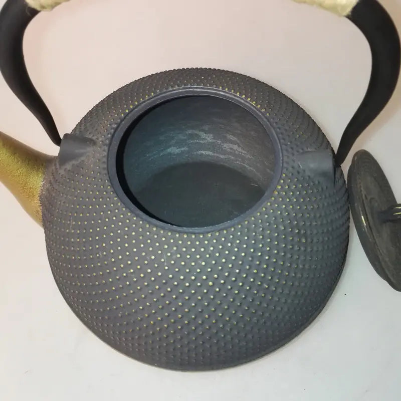 Japanese Nambu Cast Iron Teapot - Handcrafted
