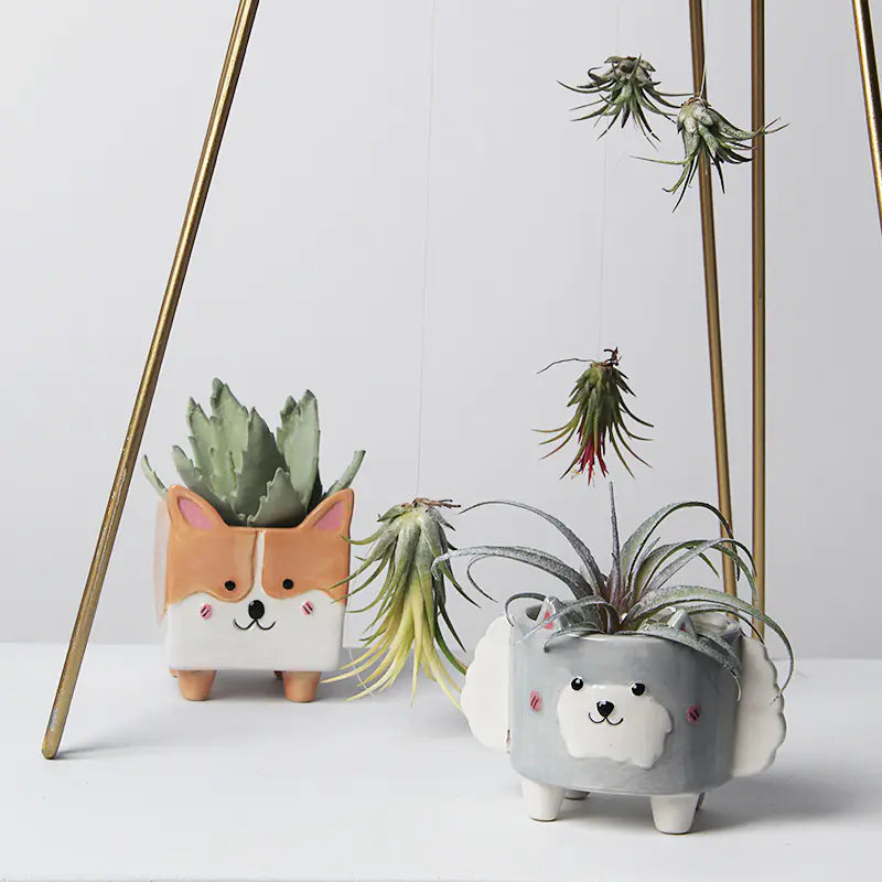 Corgi Ceramic Animal Planter for Succulents