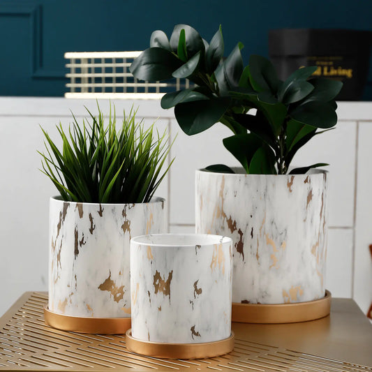 European Style Cement Flower Pot with Ceramic Gold