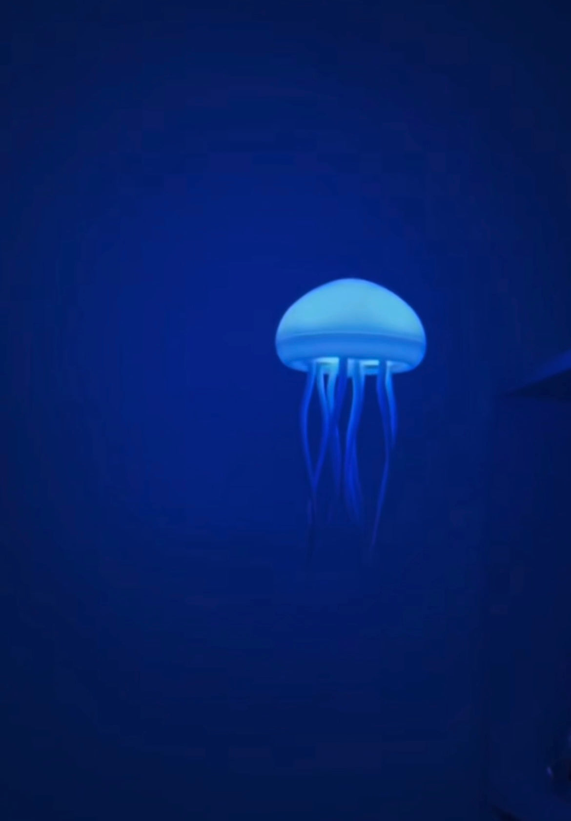 Voice/Sound Activated Jellyfish Night Light