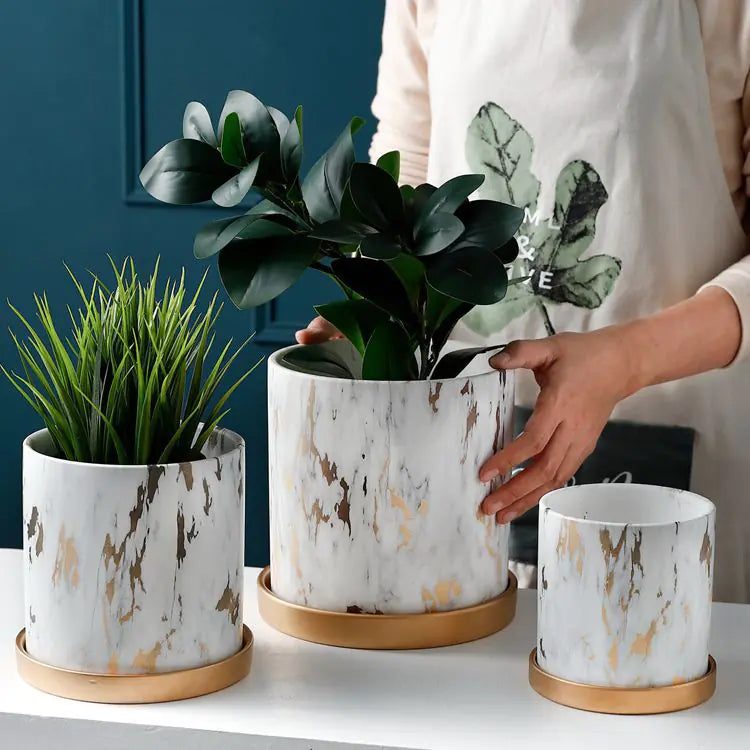 European Style Cement Flower Pot with Ceramic Gold