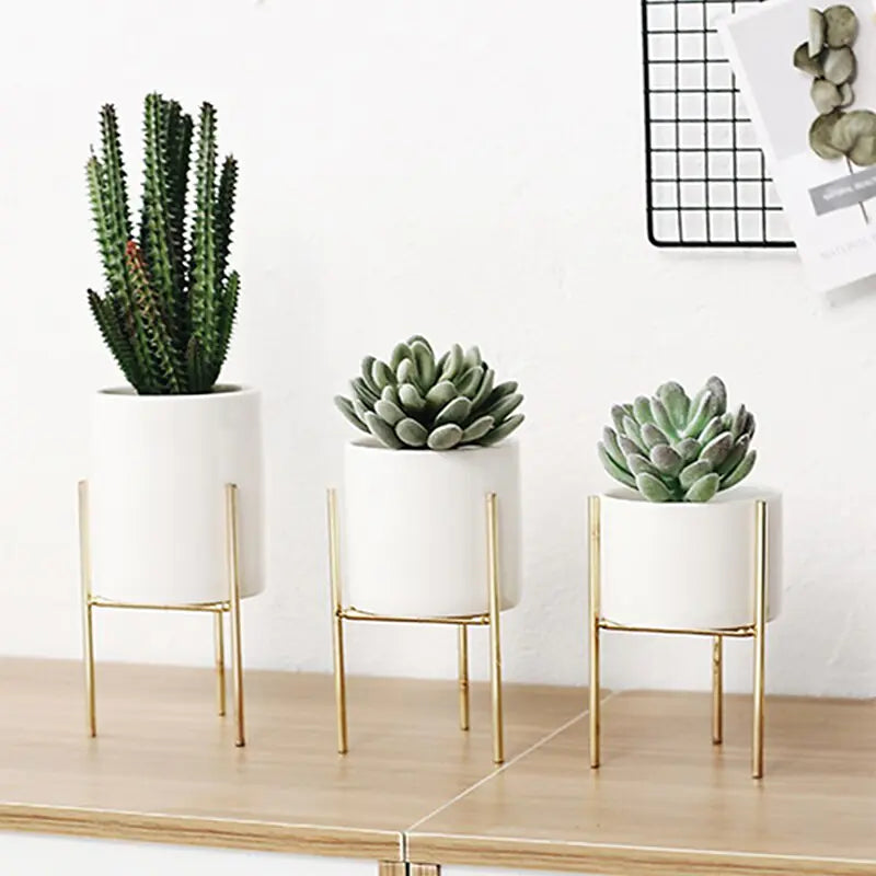 Ceramic Planter
