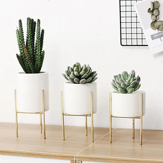 Ceramic Planter