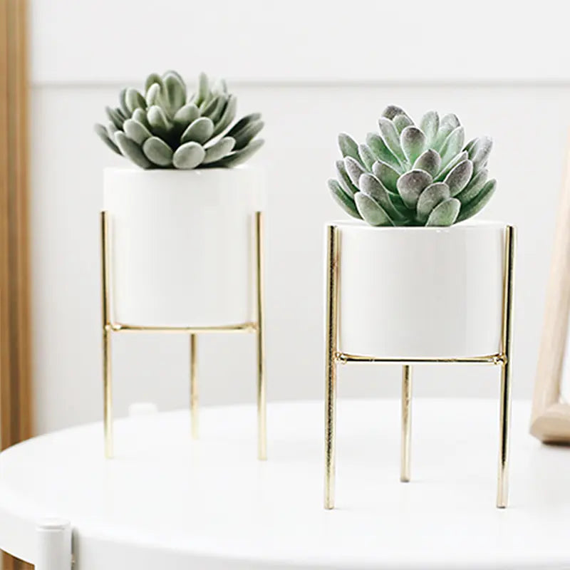 Ceramic Planter