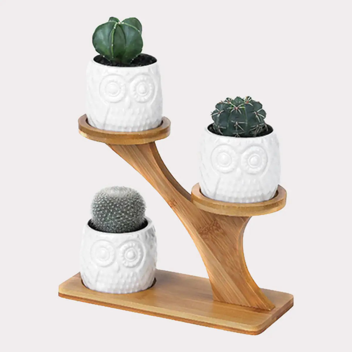 Three white owl-shaped succulent pots on a tiered bamboo shelf with small cacti plants.